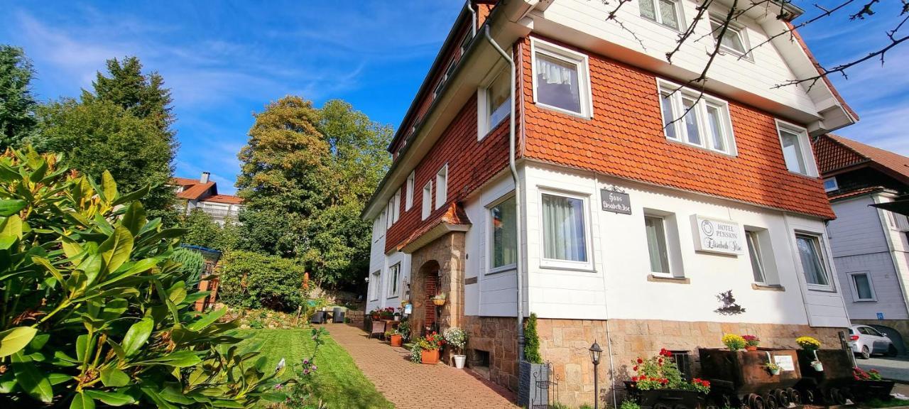 Hotel Elisabeth-Ilse Braunlage Eksteriør billede